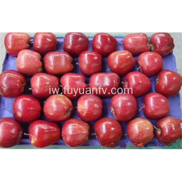 אדום מתוק טעים Huanyu תפוח
